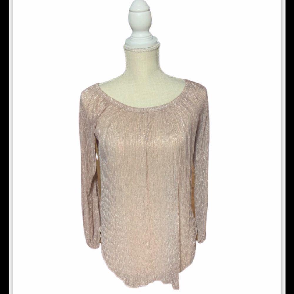 Potters Pot sheer shimmer top